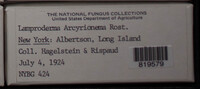 Image Associated With the Occurence